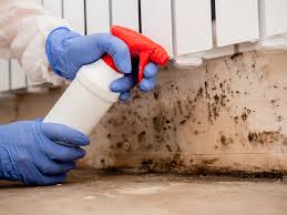 Reliable Baker City, OR Mold Removal & Remediation Solutions